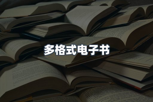 多格式电子书